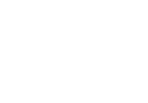 John A Roebling Suspension Bridge